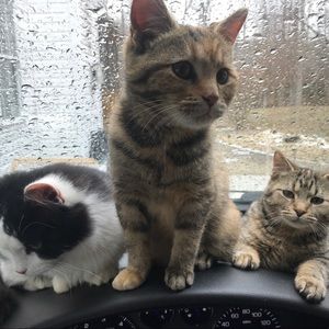 Meet your Posher, Michelle